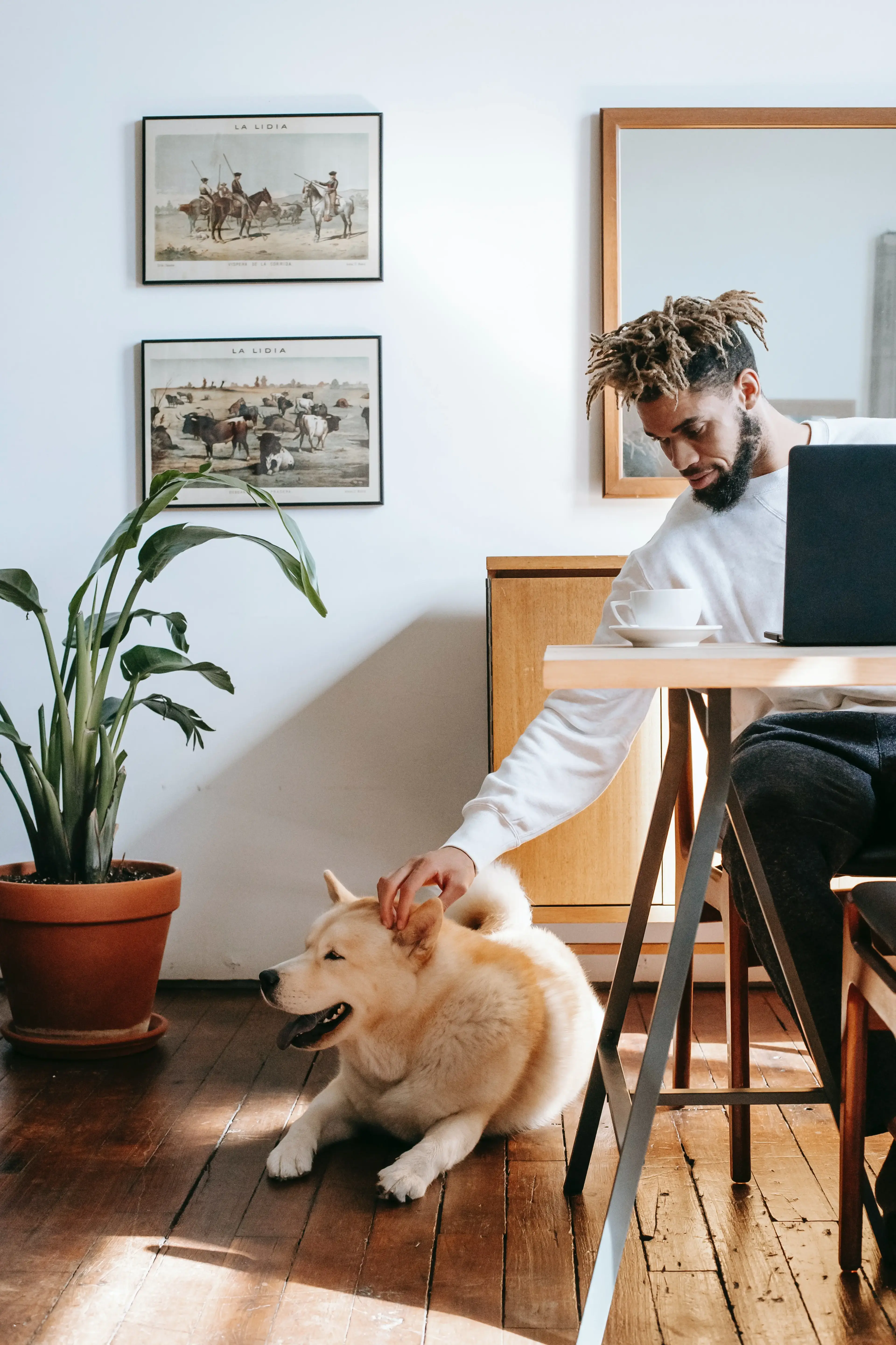 Man working from home with dog that was able to save money while addressing health concerns by using PolicyScout to compare self employed health insurance plans